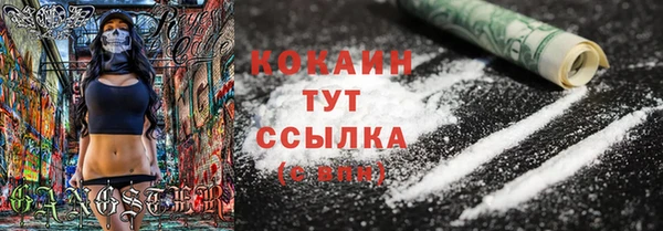 гидра Магас