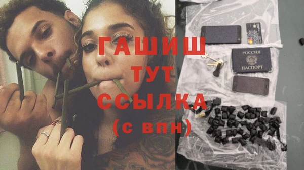 гидра Магас