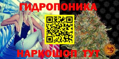 мдма Кандалакша