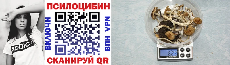 Псилоцибиновые грибы прущие грибы  сколько стоит  omg ТОР  Нижнекамск 