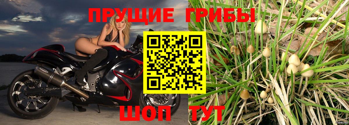 Галлюциногенные грибы мухоморы Нижнекамск