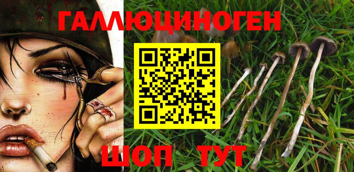 Нижнекамск  Псилоцибиновые грибы прущие грибы  Вход с VPN 